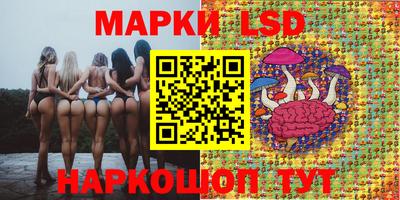трава Новокубанск