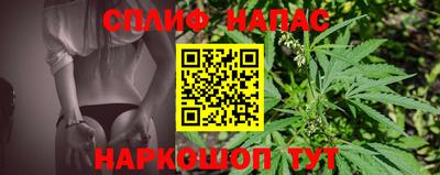 трава Новокубанск