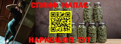 тгк Новозыбков