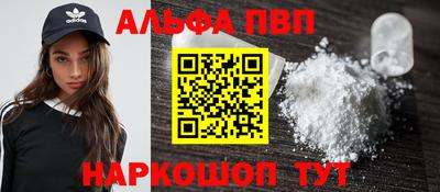 тгк Новозыбков