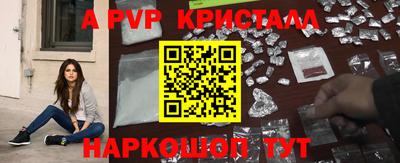 тгк Новозыбков