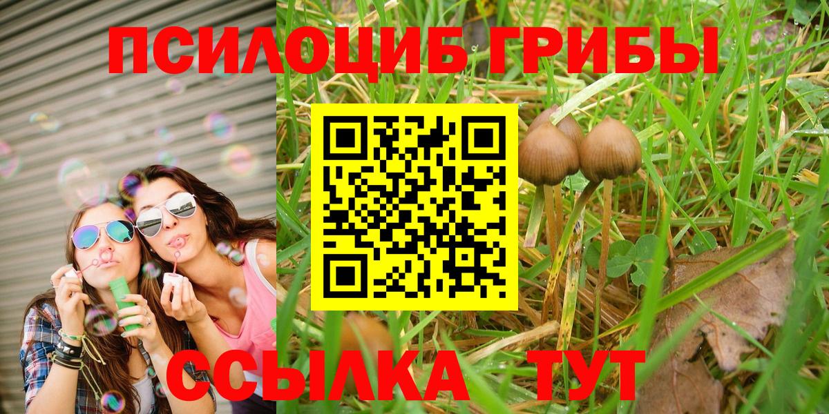 Галлюциногенные грибы MAGIC MUSHROOMS  Галлюциногенные грибы мухоморы  Вход с VPN  Сухой Лог 